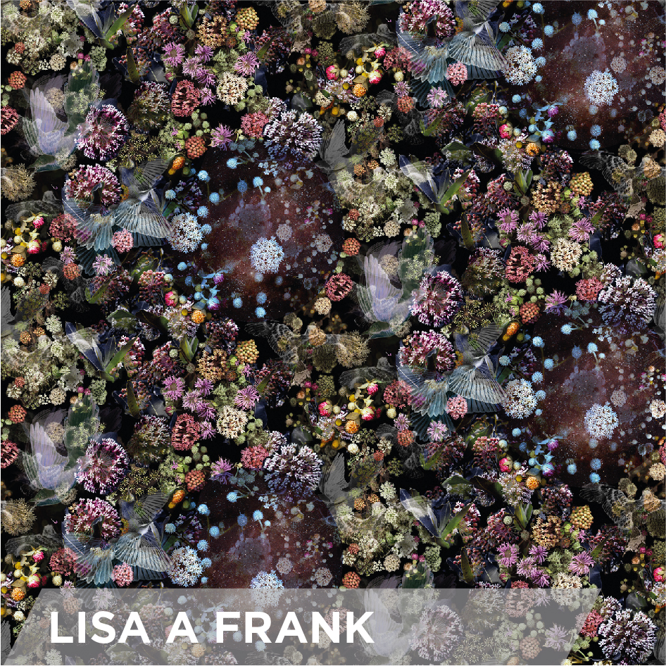 Lisa A Frank