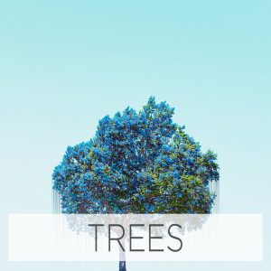 Trees